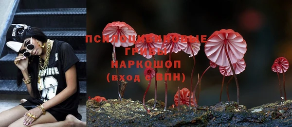 герыч Осинники