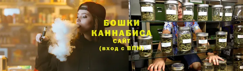 Бошки марихуана THC 21%  mega как войти  Оленегорск 